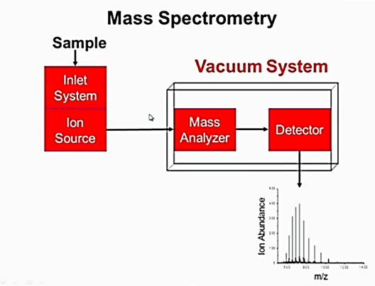 
							
								A graphic showing the workings of a mass spectrometer
							
							